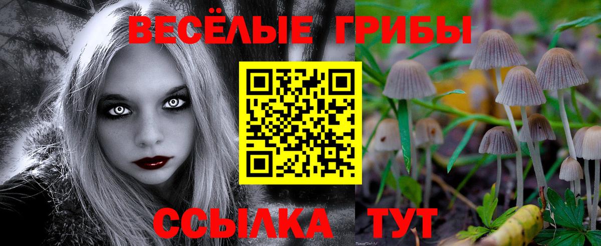 Псилоцибиновые грибы мухоморы  Вход с VPN  Москва  Галлюциногенные грибы Cubensis 